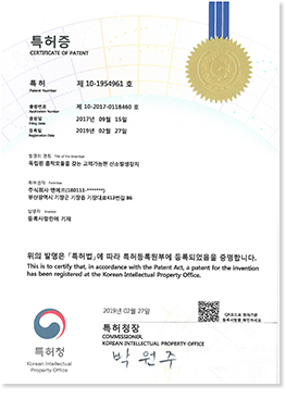 독립된 흡착 모듈을 갖는 교체가 가능한 산소발생장치